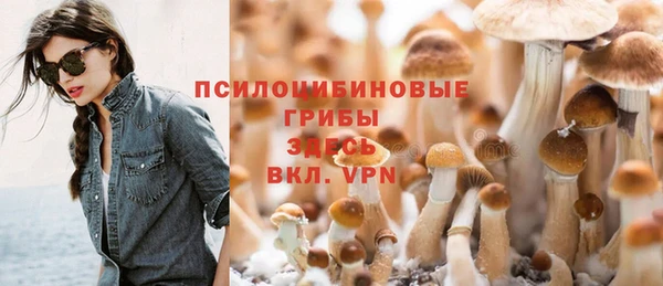 ГАЛЛЮЦИНОГЕННЫЕ ГРИБЫ Абинск